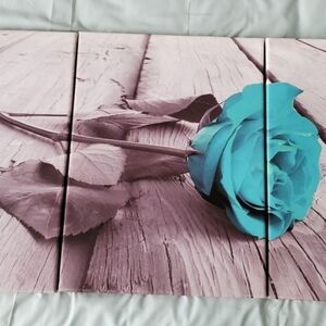 3 pcs canvas prints / aqua rose